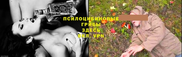 прущие крисы Алзамай