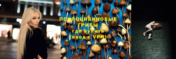 прущие крисы Алзамай