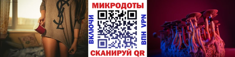 Псилоцибиновые грибы Psilocybe  Кудымкар 